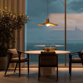 Unique Lampshade Design Resin Bedroom Pendant Light - Clowas