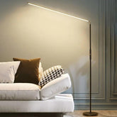 Modern LED Reading Floor Lamp for Living Room
