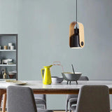 Hanging Handle Modern LED Pendant Light - Clowas