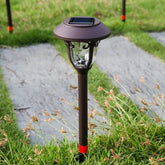 Lawn Coffee Glass Solar Bollard Lights - Clowas