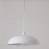 Dome Shape Dining Room Modern Pendant Light - Clowas