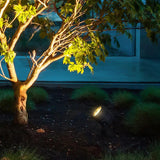 Spike Spotlight Garden Outdoor Lights - Clowas