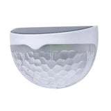 Shell Sensor Solar Outdoor Wall Lamp - Clowas