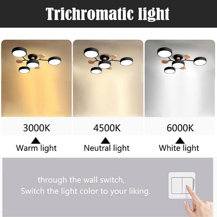 Multi Light Macaron Ceiling Light for Living Room
