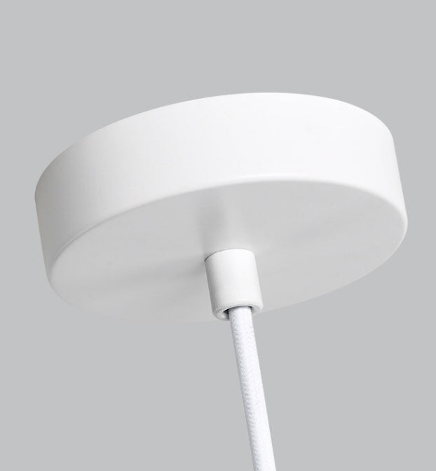 Nordic Oval Resin Living Room Pendant Light