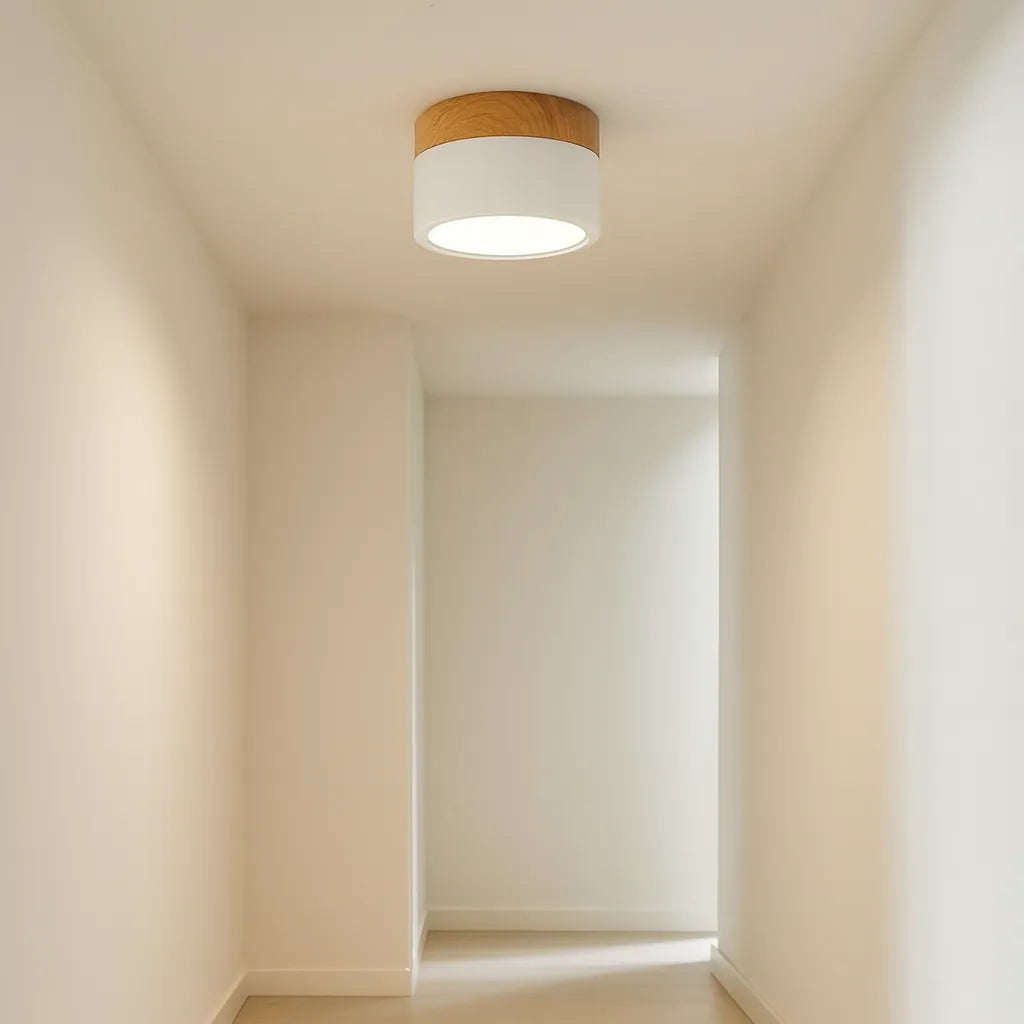 Macaron Cylinder LED Ceiling Downlight Light for Hallway
