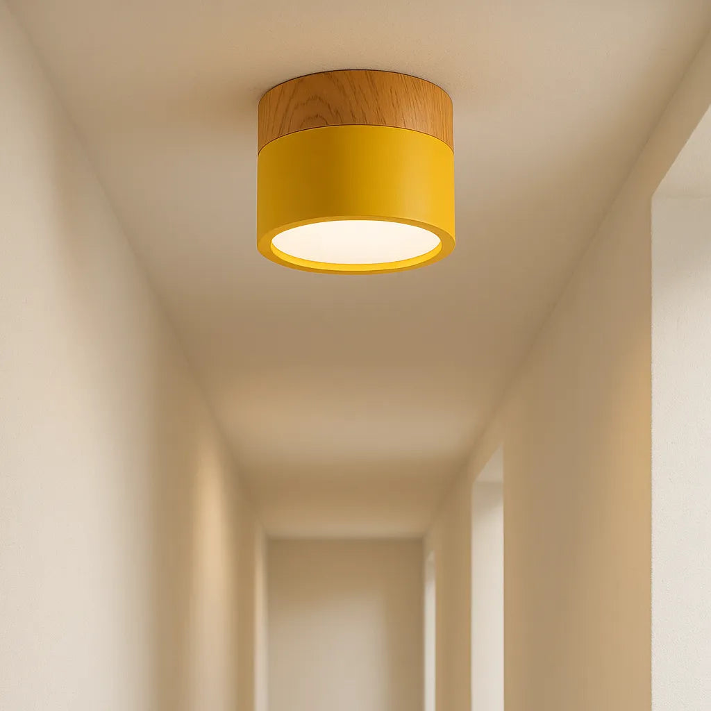 Macaron Cylinder LED Ceiling Downlight Light for Hallway