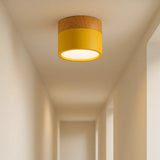 Macaron Cylinder LED Ceiling Downlight Light for Hallway
