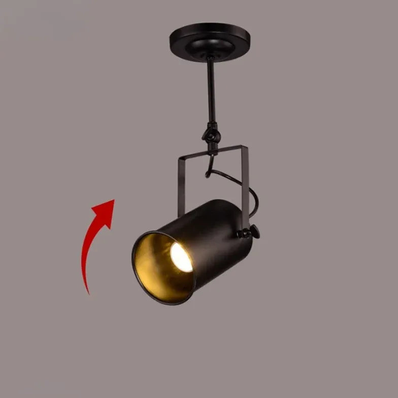 Three-Light Black Living Room Ceiling Light