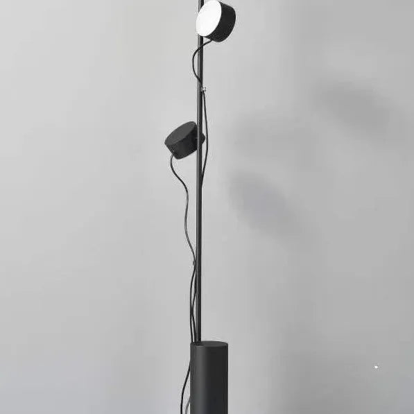 Dual-Head Adjustable Direction Black Plug-In Floor Lamp