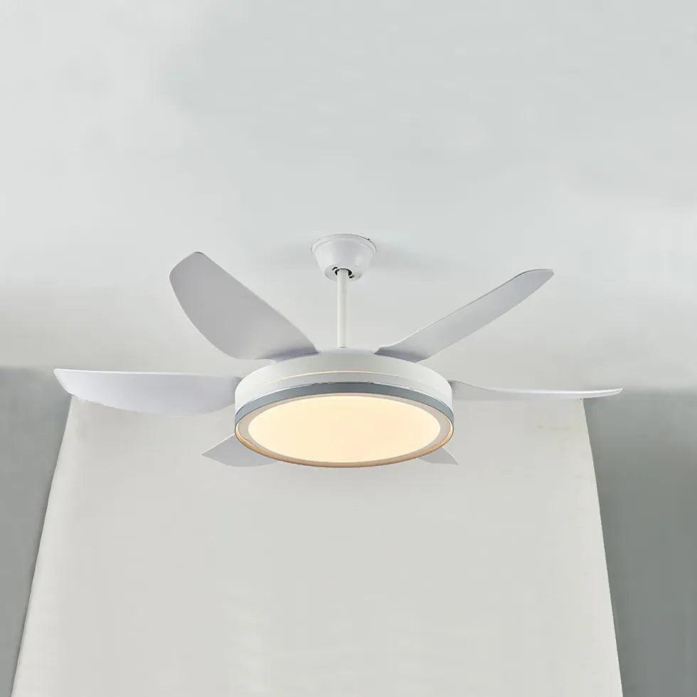 Black Metal Modern Minimalist Fan Light