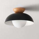 Black Round Metal Aisle Ceiling Light