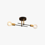 Contemporary Iron Double Heads Ceiling Light