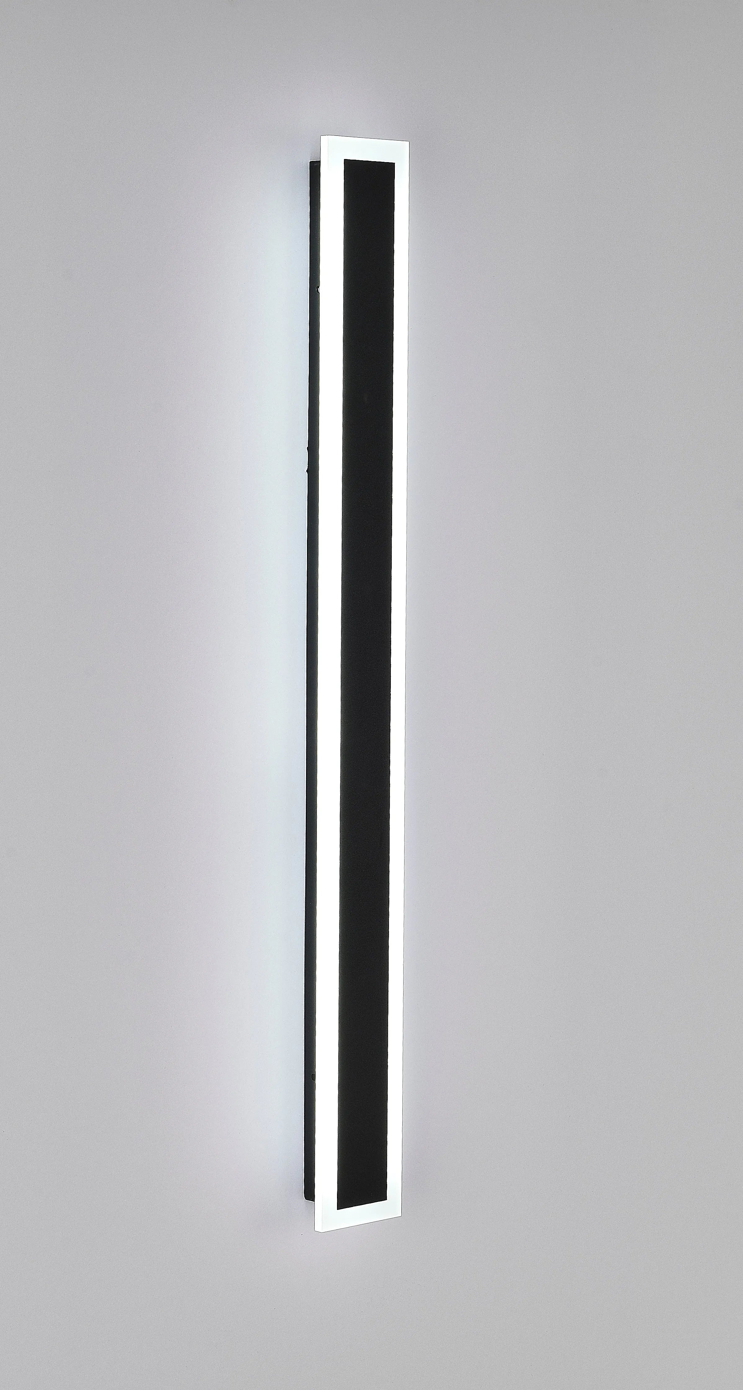 Black Linear LED Outdoor Wall Light