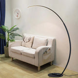 Linear Minimalist Curved Design Floor Lamp