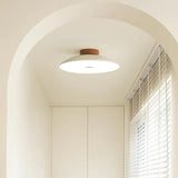 Full Spectrum Green Flush Ceiling Light for Dining Room