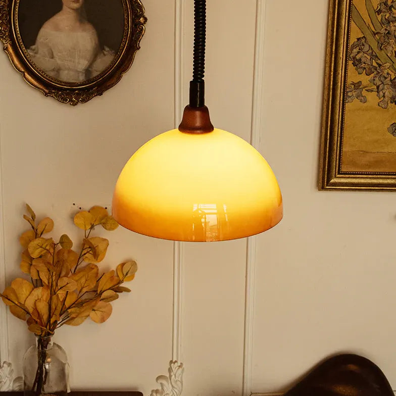 Brown Vintage Half-Sphere Living Room Pendant Light