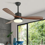 Black Modern for Study Room Fan Light