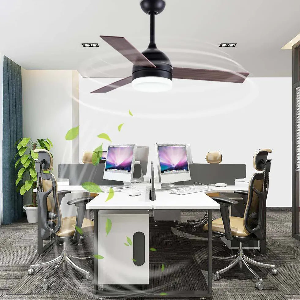 Black Modern Living Room Fan Light