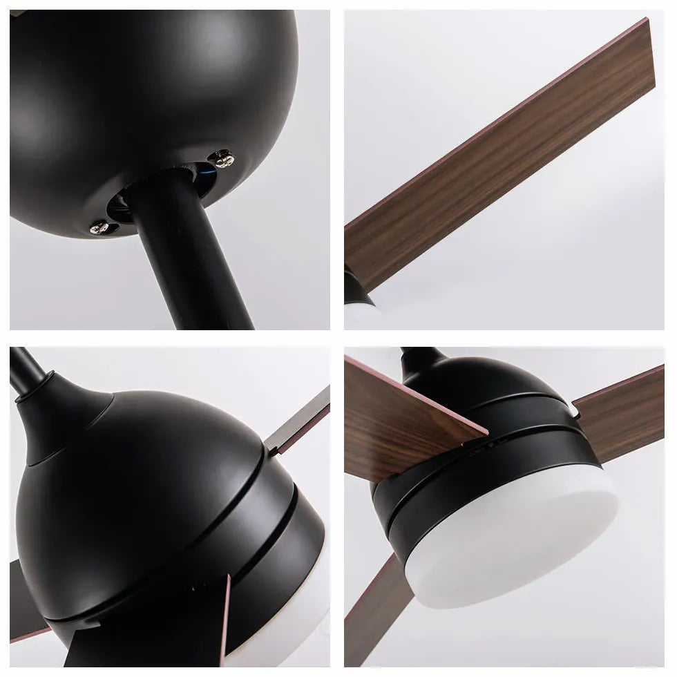 Black Modern Living Room Fan Light