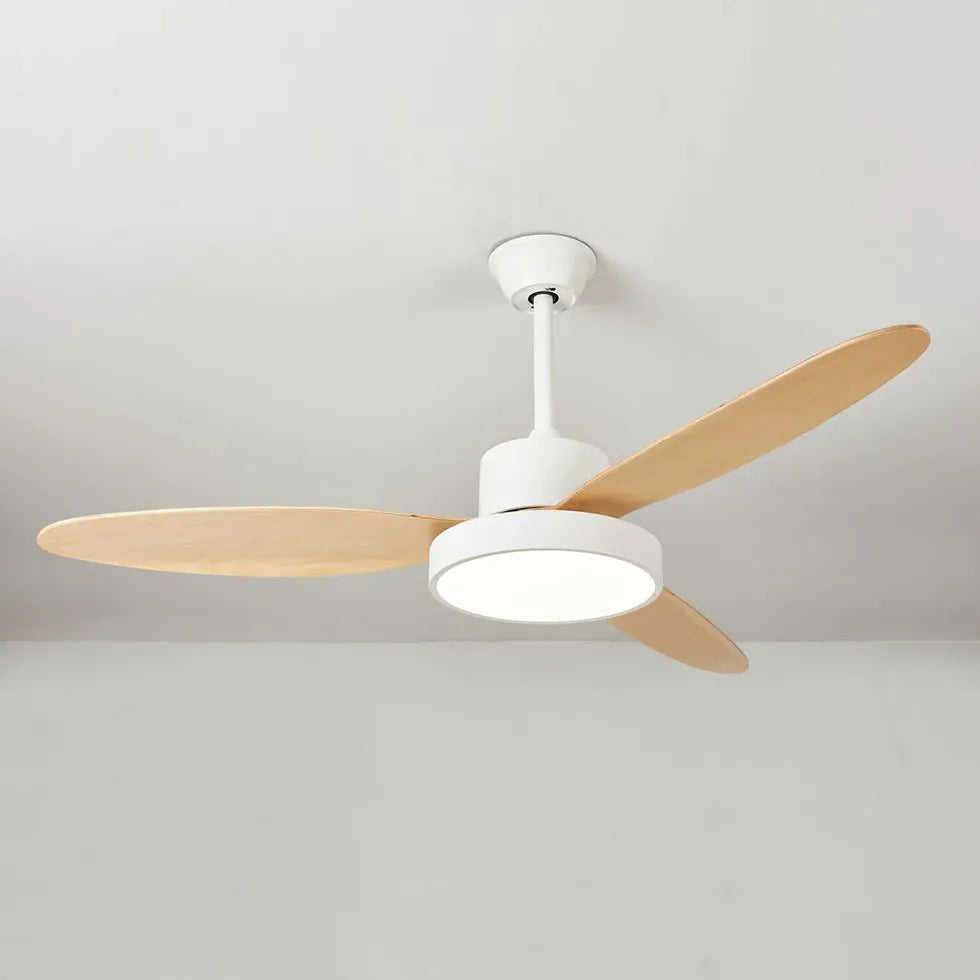 Oval Blade Modern Living Room Fan Light