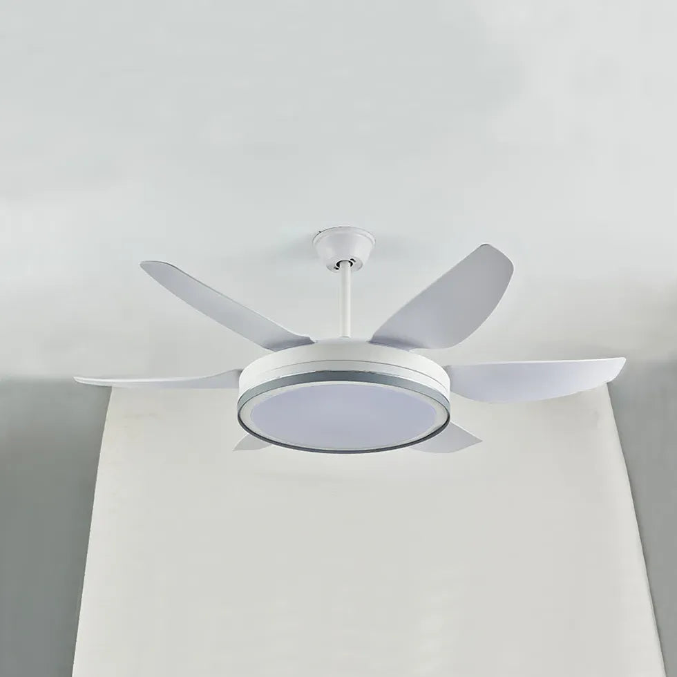 Black Metal Modern Minimalist Fan Light