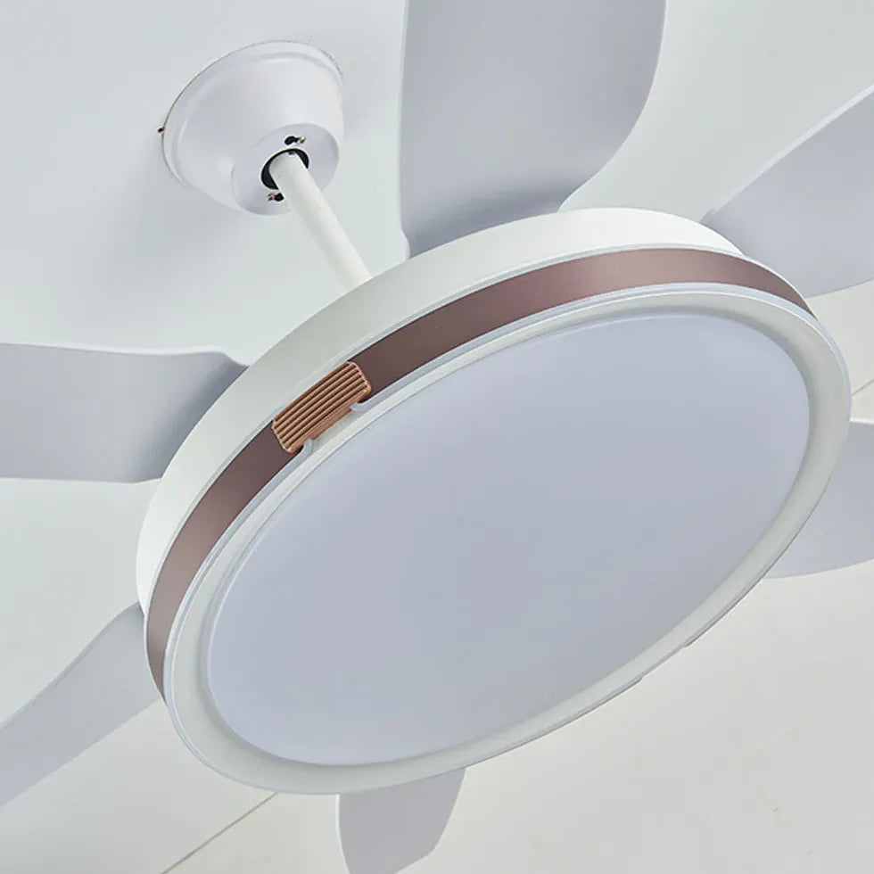 White Metal LED Modern Fan Light