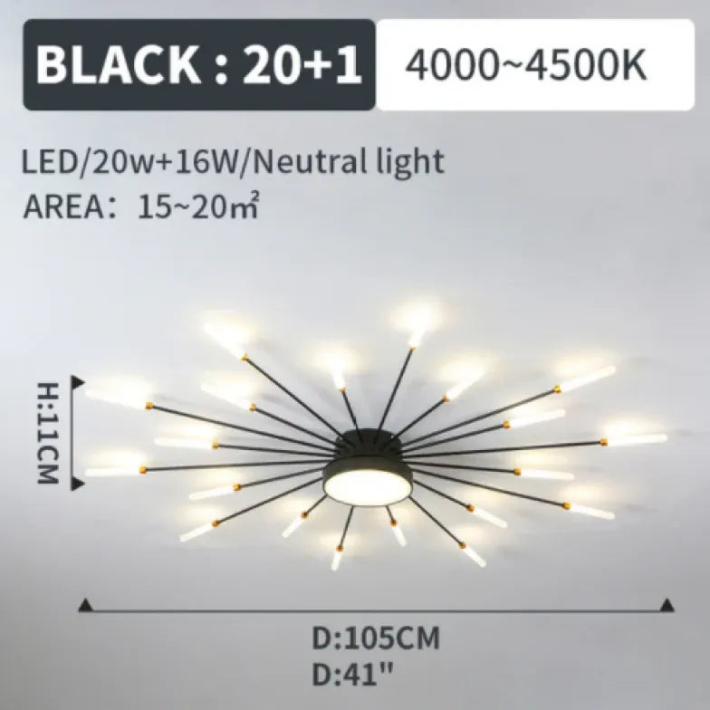 Black LED Modern Flush Ceiling Lights