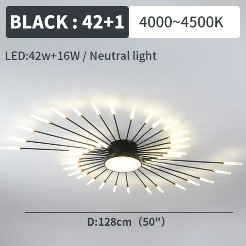 Black LED Modern Flush Ceiling Lights