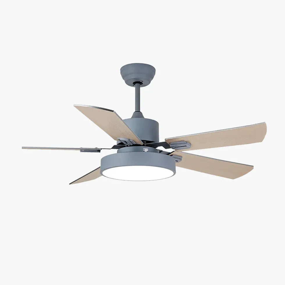 Grey For Living Room Ceiling Fan With Light