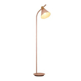 Curved Arm Two-Tone Minimalist Floor Lamp