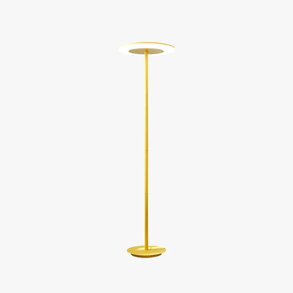 Circular Ring Long Pole Floor Lamp