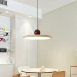 Disc-shaped Shade Led Vintage Ceiling Light