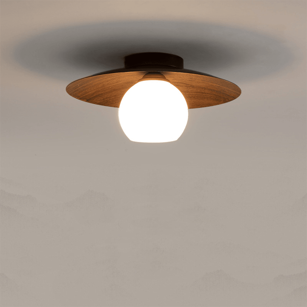 Minimalist Corridor Dark Wood Ceiling Light