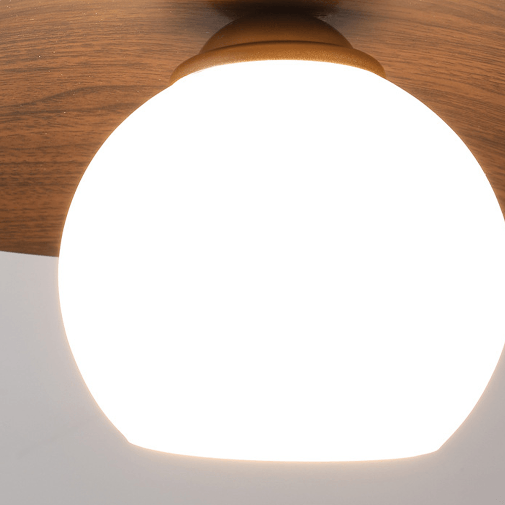 Minimalist Corridor Dark Wood Ceiling Light