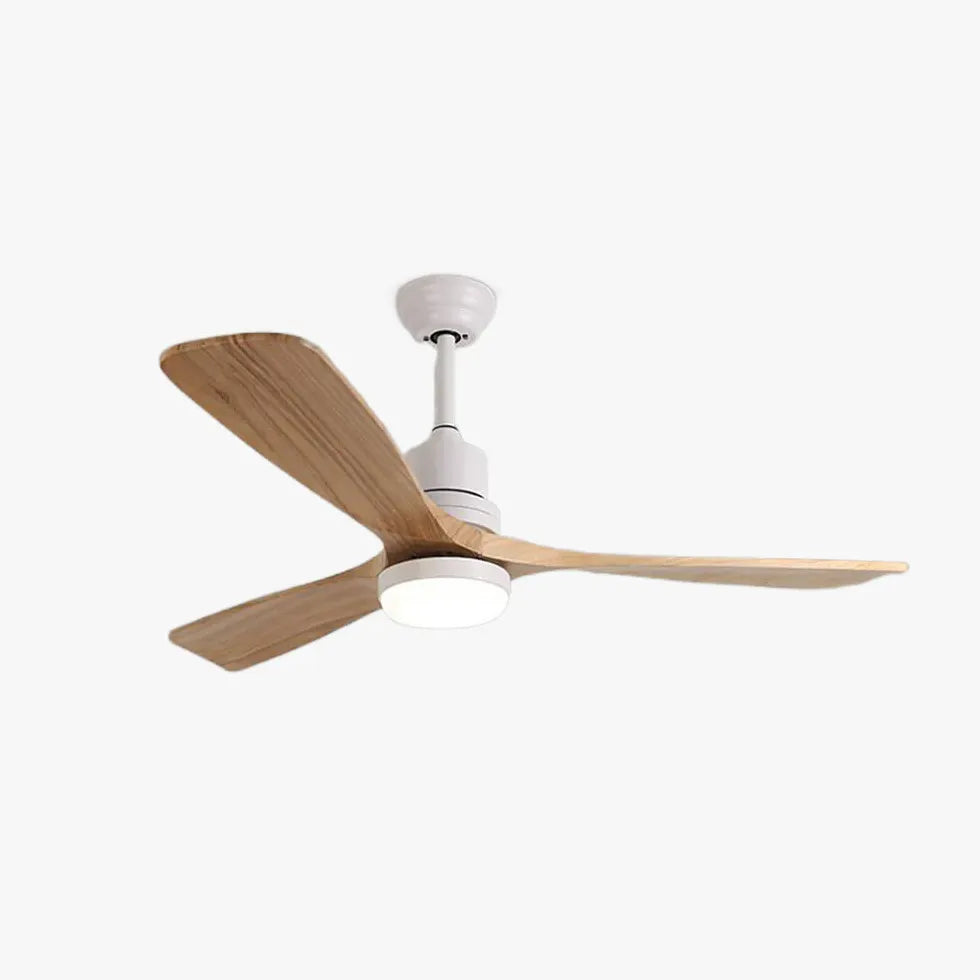 Three Leaves Modern Ceiling Fan with Light