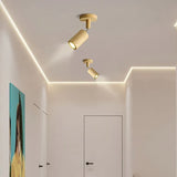 Transferable Wooden Flush Ceiling Lights