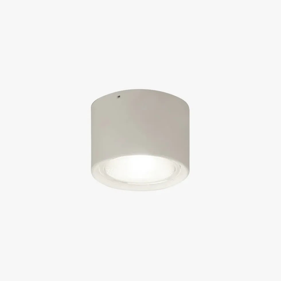 Small Cylinder Modern Bedroom Ceiling Light