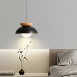 Double Hemisphere LED Modern Pendant Light