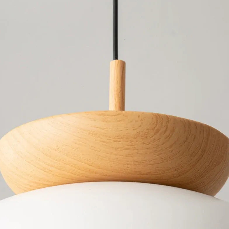 Double Hemisphere LED Modern Pendant Light