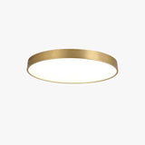 Modern Ceiling Light In Copper And LED