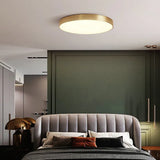 Metallic Round Minimalist Ceiling Light for Corridor