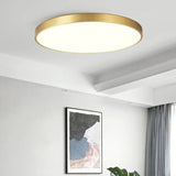 Metallic Round Minimalist Ceiling Light for Corridor