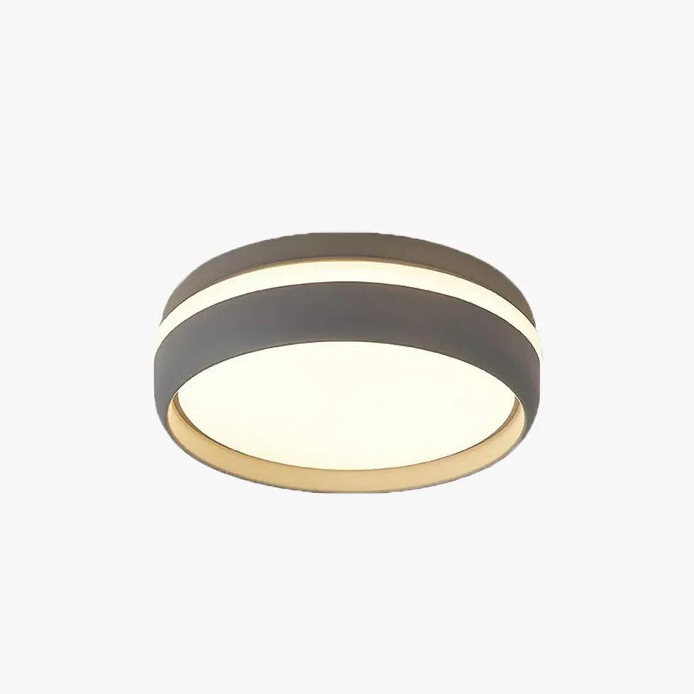 Minimalist Led Circular Hallway Ceiling Lights