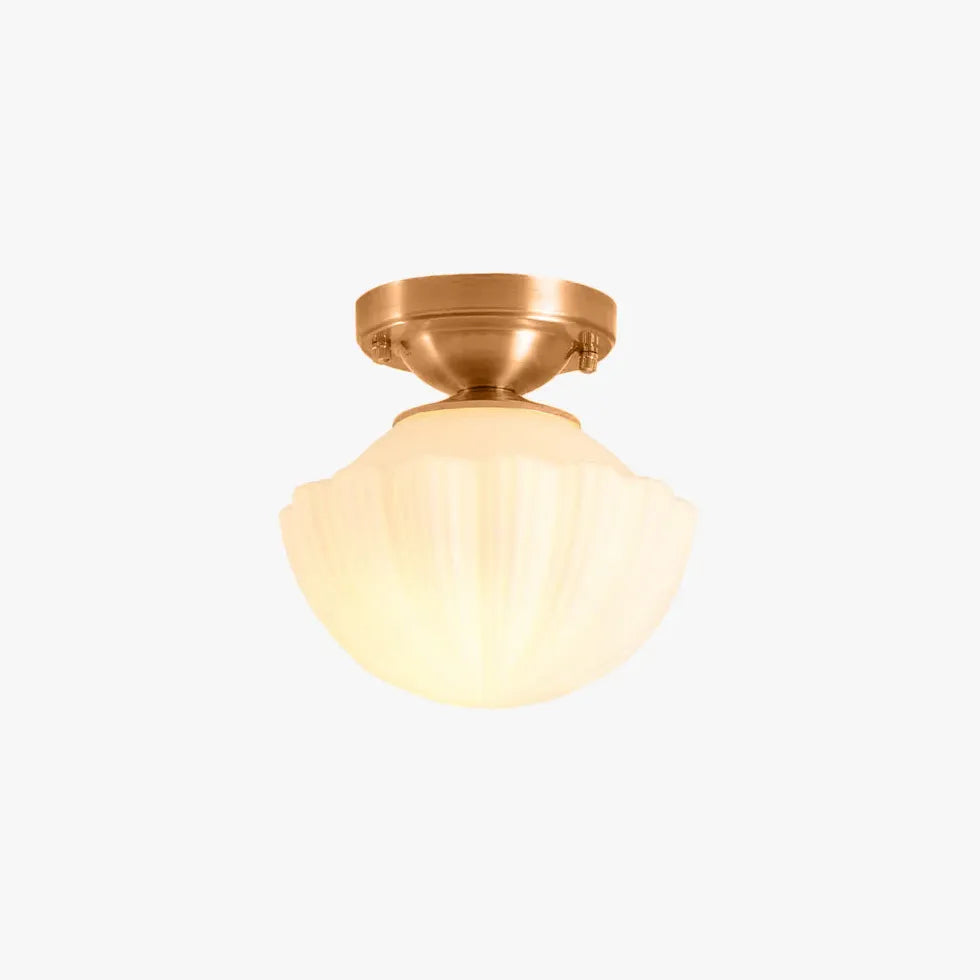 Concise Living Room Flush Ceiling Lights