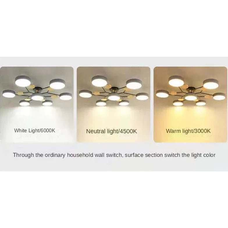 Green Bracket Modern Flush Ceiling Lights