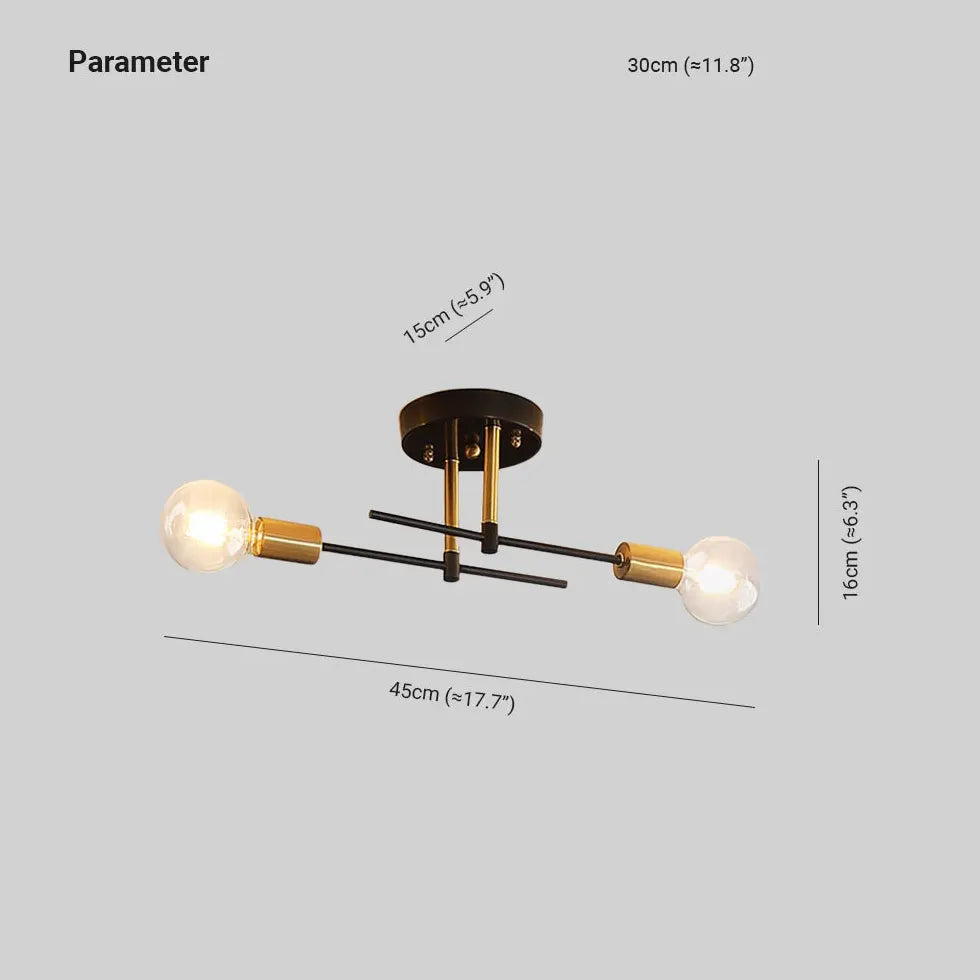 Dual-Head Minimalist Black Modern Ceiling Light