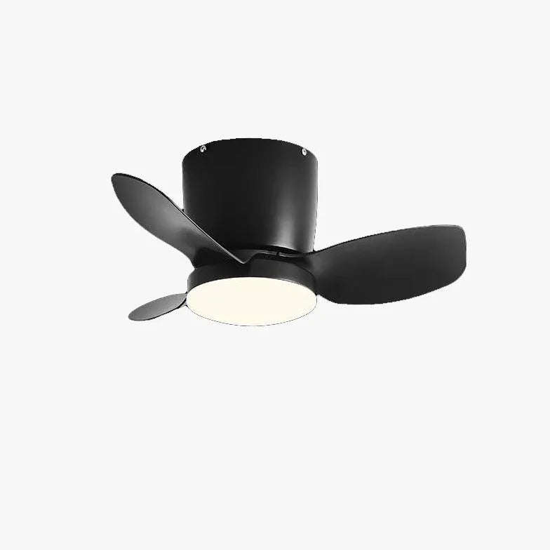 Three-Blade Acrylic Ceiling Fan with Light