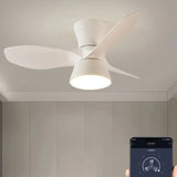 Three-Blade Minimalist Ceiling Fan with Light