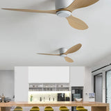 Three-Blade Streamlined Ceiling Fan with Light